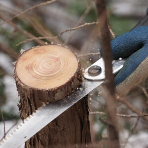 055 SILKY Snoeigereedschap